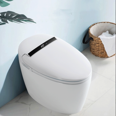 Egg Shape Luxury Smart Intelligent Auto Washing Toilet