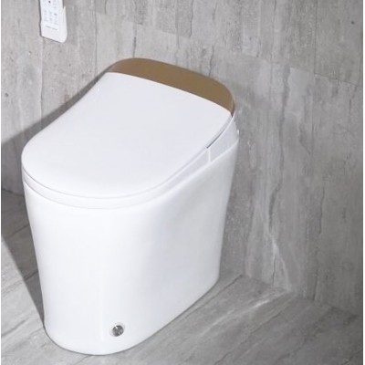 Fashion Design Electrical Smart Sanitary Luxury Toilet 2020