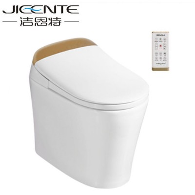 Instant Heating Intelligent Smart Sanitary Luxury Toilet