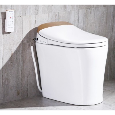 Instant Heating Warm Washing Drying Electrical Disabled Toilet