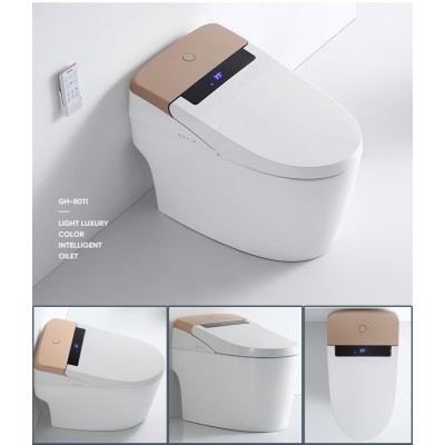 One-piece Electronic Sanitary Ware Automatic Operation intelligent bidet Toilet